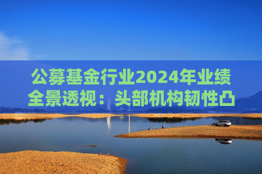 公募基金行业2024年业绩全景透视：头部机构韧性凸显 中小公司差异化突围
