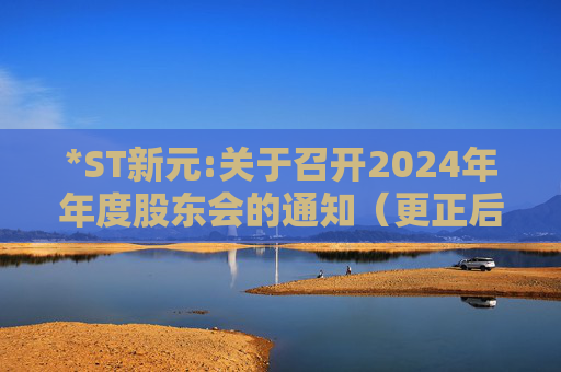 *ST新元:关于召开2024年年度股东会的通知（更正后）