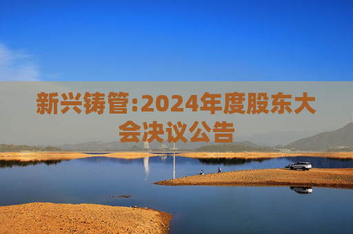 新兴铸管:2024年度股东大会决议公告