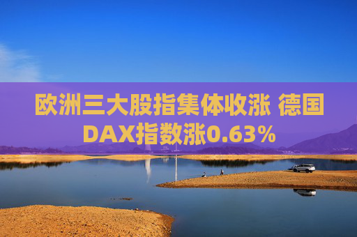 欧洲三大股指集体收涨 德国DAX指数涨0.63%  第1张