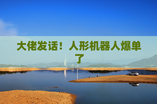 大佬发话！人形机器人爆单了