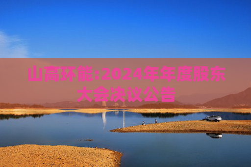 山高环能:2024年年度股东大会决议公告