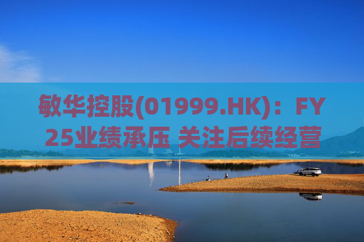 敏华控股(01999.HK):FY25业绩承压 关注后续经营改善 第1张 敏华控股(01999.HK):FY25业绩承压 关注后续经营改善 第1张