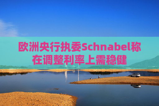欧洲央行执委Schnabel称在调整利率上需稳健