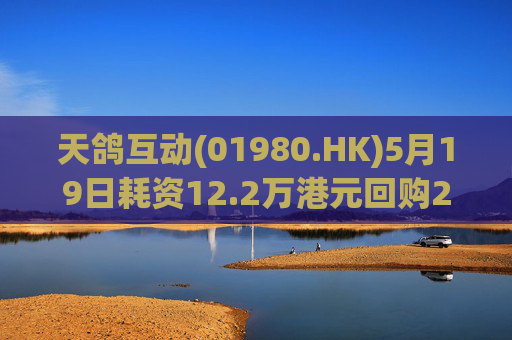 天鸽互动(01980.HK)5月19日耗资12.2万港元回购20万股