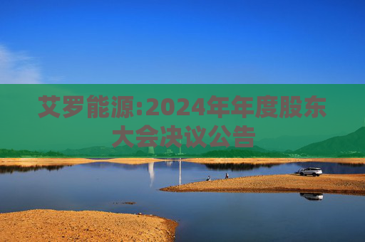 艾罗能源:2024年年度股东大会决议公告