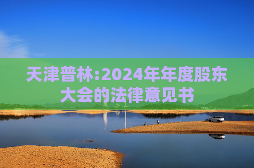 天津普林:2024年年度股东大会的法律意见书  第1张
