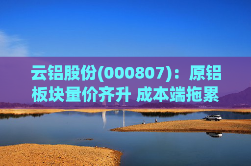 云铝股份(000807)：原铝板块量价齐升 成本端拖累Q4业绩  第1张
