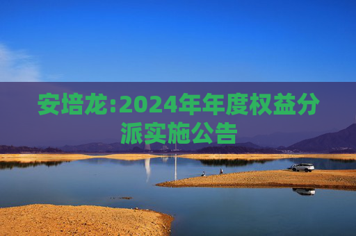 安培龙:2024年年度权益分派实施公告