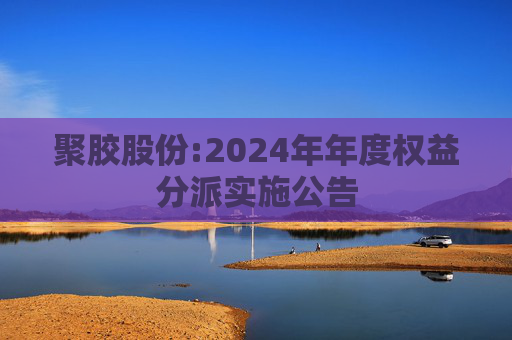 聚胶股份:2024年年度权益分派实施公告