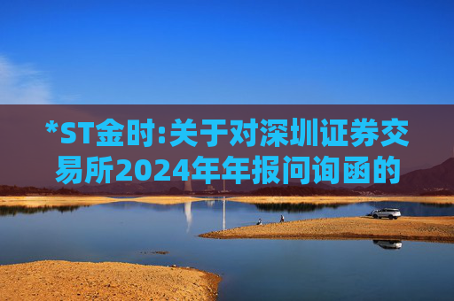 *ST金时:关于对深圳证券交易所2024年年报问询函的回复  第1张