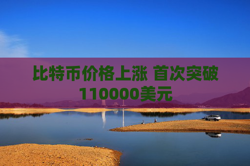 比特币价格上涨 首次突破110000美元  第1张