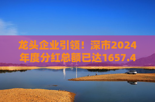 龙头企业引领！深市2024年度分红总额已达1657.47亿元  第1张