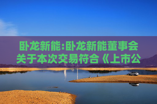卧龙新能:卧龙新能董事会关于本次交易符合《上市公司重大资产重组管理办法》第十一条有关规定的说明