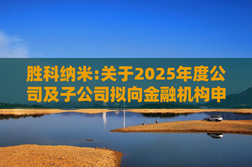胜科纳米:关于2025年度公司及子公司拟向金融机构申请授信额度及公司为子公司提供担保额度预计的公告  第1张