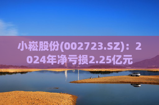小崧股份(002723.SZ)：2024年净亏损2.25亿元