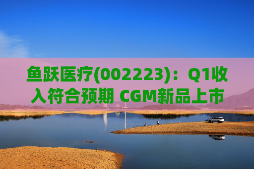 鱼跃医疗(002223):Q1收入符合预期 CGM新品上市丰富增长动能