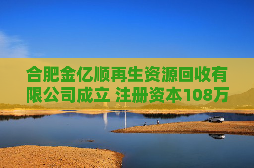 合肥金亿顺再生资源回收有限公司成立 注册资本108万人民币