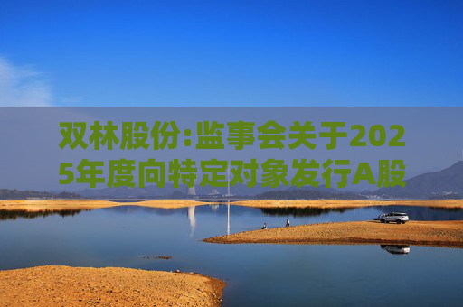 双林股份:监事会关于2025年度向特定对象发行A股股票的书面审核意见  第1张