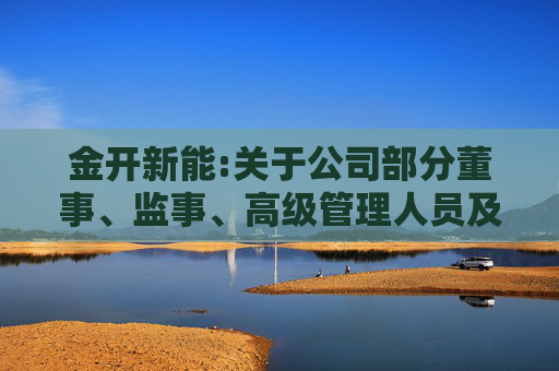 金开新能:关于公司部分董事、监事、高级管理人员及其他核心骨干员工自愿增持公司股份计划暨落实“提质增效重回报”行动方案的进展公告  第1张