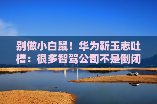 别做小白鼠！华为靳玉志吐槽：很多智驾公司不是倒闭就是做机器人去了