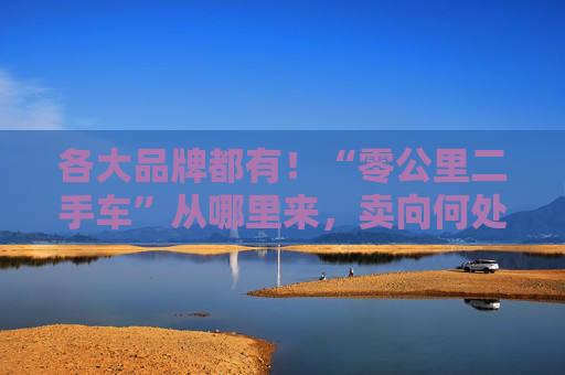 各大品牌都有！“零公里二手车”从哪里来，卖向何处，影响有多大？