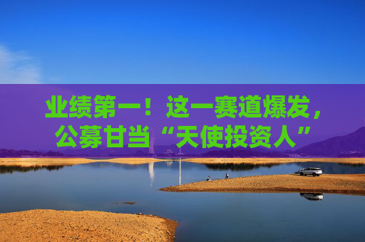 业绩第一！这一赛道爆发，公募甘当“天使投资人”