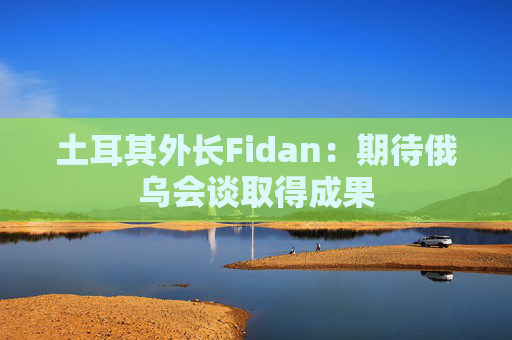 土耳其外长Fidan：期待俄乌会谈取得成果