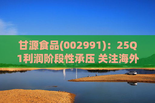 甘源食品(002991):25Q1利润阶段性承压 关注海外市场突破 第1张 甘源食品(002991):25Q1利润阶段性承压 关注海外市场突破 第1张