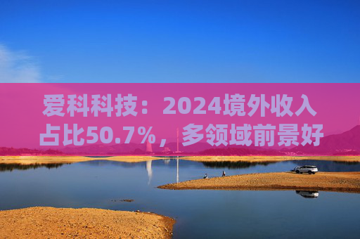 爱科科技：2024境外收入占比50.7%，多领域前景好  第1张