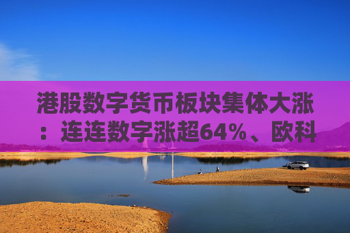 港股数字货币板块集体大涨：连连数字涨超64%、欧科云链涨超41%