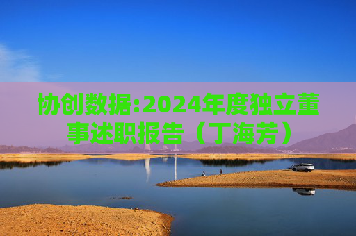 协创数据:2024年度独立董事述职报告（丁海芳）  第1张