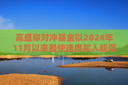 高盛称对冲基金以2024年11月以来最快速度买入股票