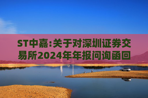 ST中嘉:关于对深圳证券交易所2024年年报问询函回复的公告  第1张