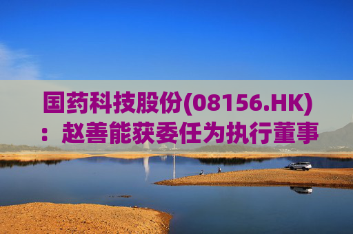 国药科技股份(08156.HK)：赵善能获委任为执行董事