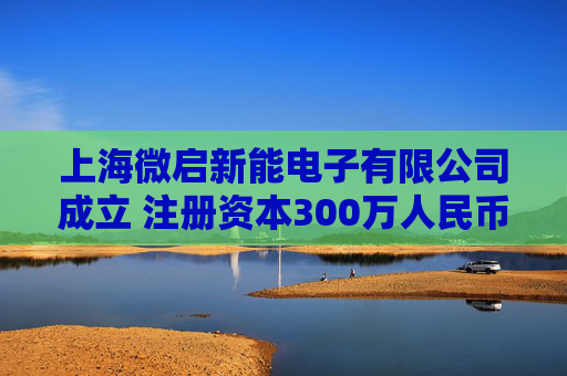 上海微启新能电子有限公司成立 注册资本300万人民币