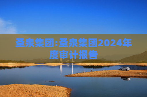 圣泉集团:圣泉集团2024年度审计报告