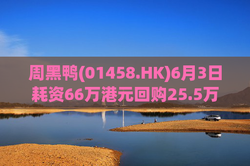 周黑鸭(01458.HK)6月3日耗资66万港元回购25.5万股
