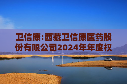 卫信康:西藏卫信康医药股份有限公司2024年年度权益分派实施公告  第1张