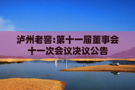 泸州老窖:第十一届董事会十一次会议决议公告