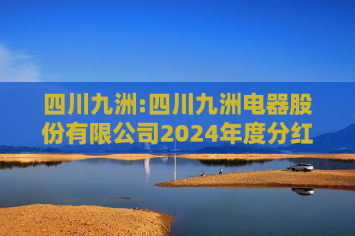 四川九洲:四川九洲电器股份有限公司2024年度分红派息实施公告