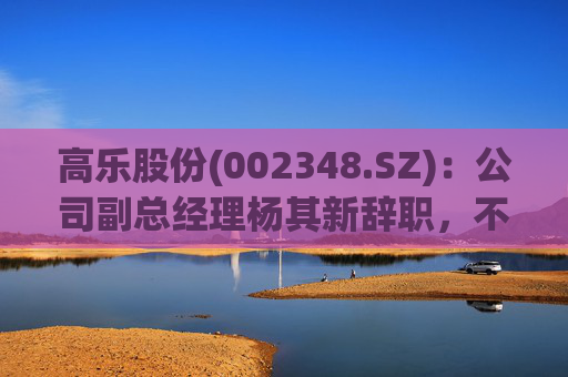 高乐股份(002348.SZ)：公司副总经理杨其新辞职，不再担任公司及控股子公司任何职务