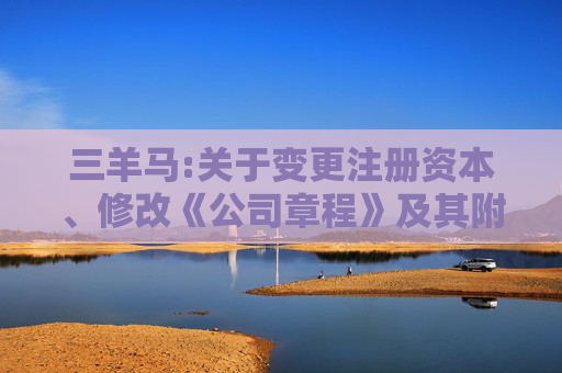 三羊马:关于变更注册资本、修改《公司章程》及其附件并办理工商变更登记的公告  第1张