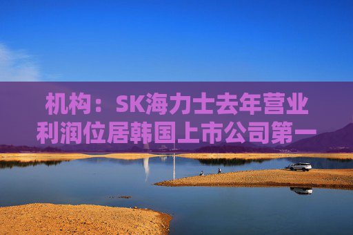 机构：SK海力士去年营业利润位居韩国上市公司第一，首次超过三星电子  第1张