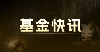 融通易支付货币E：规模变动，业绩各异