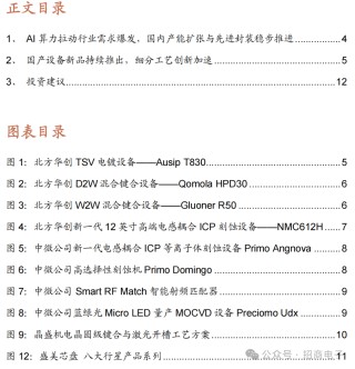 【招商电子】半导体SEMICON大会跟踪报告：AI加速市场空间持续增长，国产设备新品聚焦先进制程及先进封装