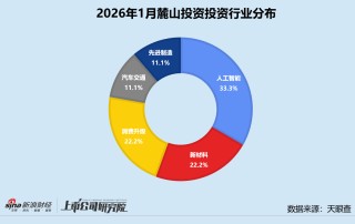 创投月报 | 麓山投资：1月早期投资占比近九成 三分之一投向人工智能赛道