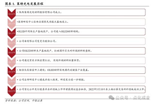 【中银化工】公司深度-莱特光电（688150.SH）：国内OLED终端材料领先企业