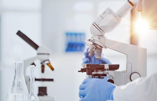 6天8家药企扎堆递表：港股生物医药IPO回暖下的机遇与隐忧