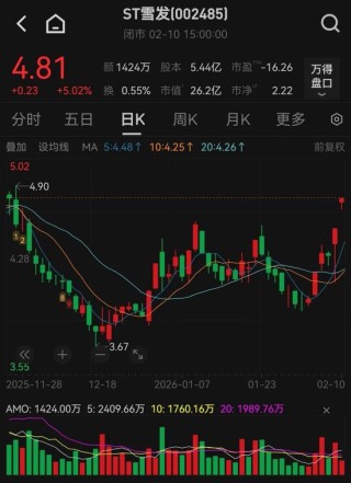 002485，实控人涉嫌集资诈骗一案公开宣判！今日股价涨停